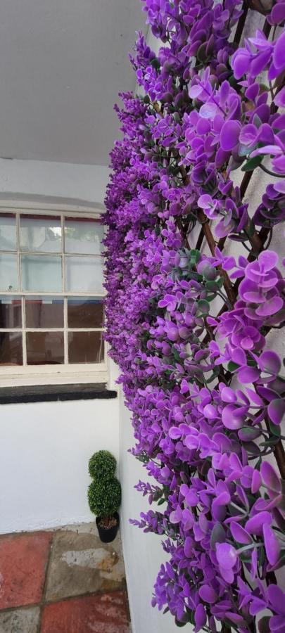 Diamond Harbour - Whole Huge Apartment - Wifi - Beach - Ramsgate Town Luaran gambar